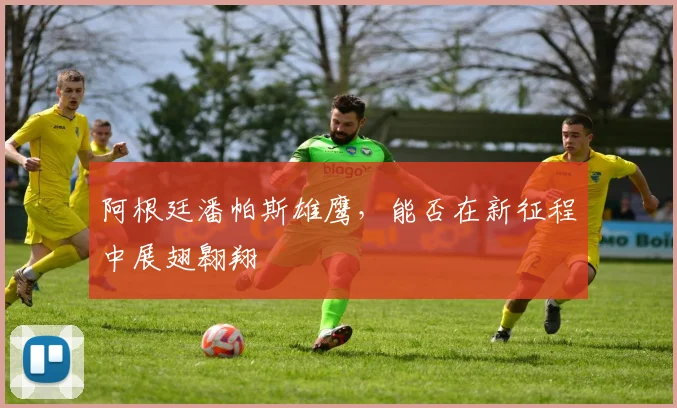 阿根廷潘帕斯雄鹰，能否在新征程中展翅翱翔